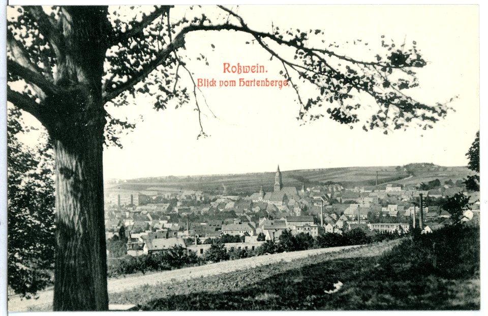 11675-Roßwein-1910-Blick vom Hartenberge-Brück & Sohn Kunstverlag