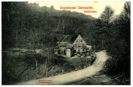11352-Cossebaude-1910-Oberwartha - Waldfrieden-Brück & Sohn Kunstverlag