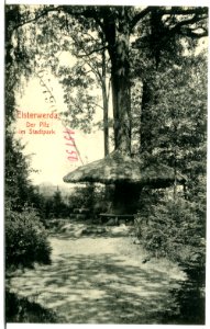 11384-Elsterwerda-1910-Im Stadtpark-Brück & Sohn Kunstverlag photo