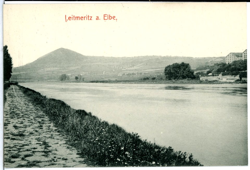 11523-Leitmeritz-1910-Blick über die Elbe-Brück & Sohn Kunstverlag