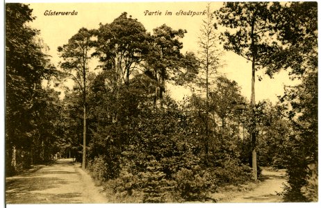 11378-Elsterwerda-1910-Im Stadtpark-Brück & Sohn Kunstverlag photo