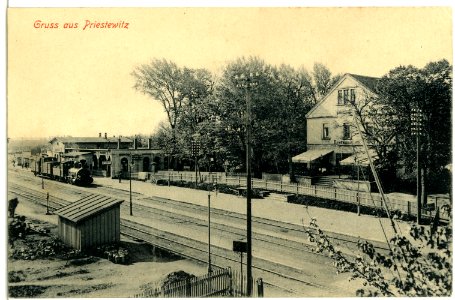 02695-Priestewitz-1902-Bahnhof mit Güterzug-Brück & Sohn Kunstverlag