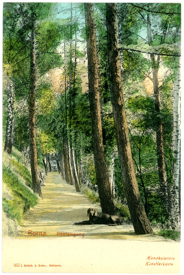 03571-Borna-1903-Poetenweg-Brück & Sohn Kunstverlag