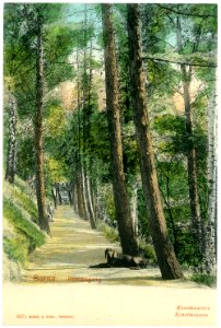 03571-Borna-1903-Poetenweg-Brück & Sohn Kunstverlag