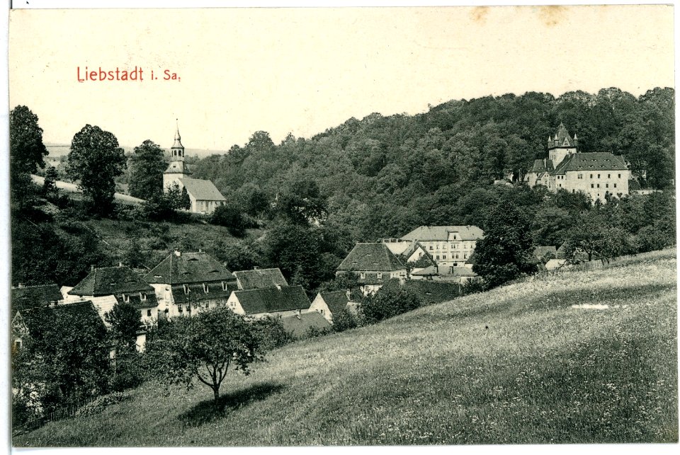 11430-Liebstadt-1910-Blick auf Liebstadt-Brück & Sohn Kunstverlag