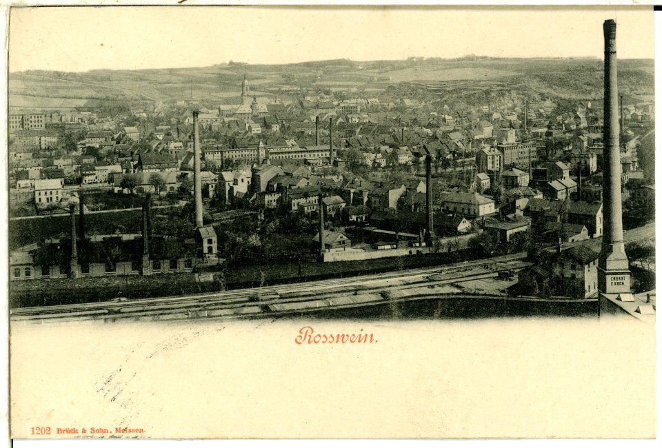 01202-Roßwein-1899-Blick auf Roßwein-Brück & Sohn Kunstverlag
