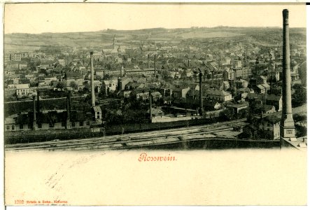 01202-Roßwein-1899-Blick auf Roßwein-Brück & Sohn Kunstverlag
