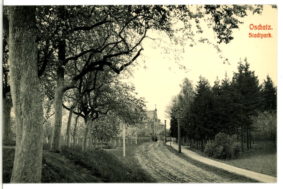 11952-Oschatz-1910-Stadtpark-Brück & Sohn Kunstverlag