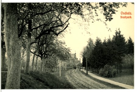 11952-Oschatz-1910-Stadtpark-Brück & Sohn Kunstverlag