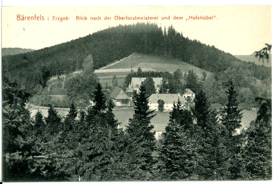 11899-Bärenfels-1910-Blick nach der Oberförsterei-Brück & Sohn Kunstverlag