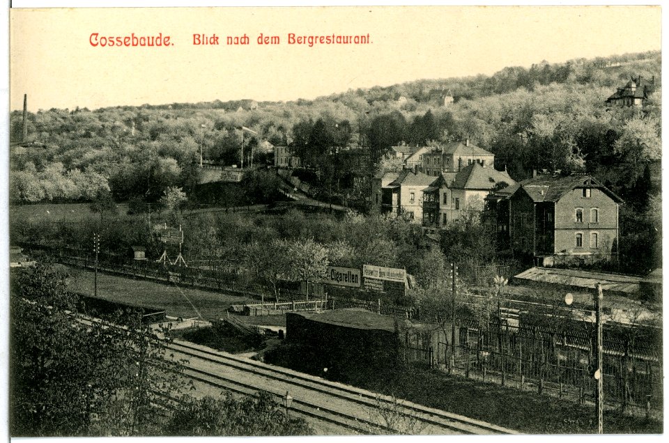 11232-Cossebaude-1910-Blick nach dem Bergrestaurant-Brück & Sohn Kunstverlag