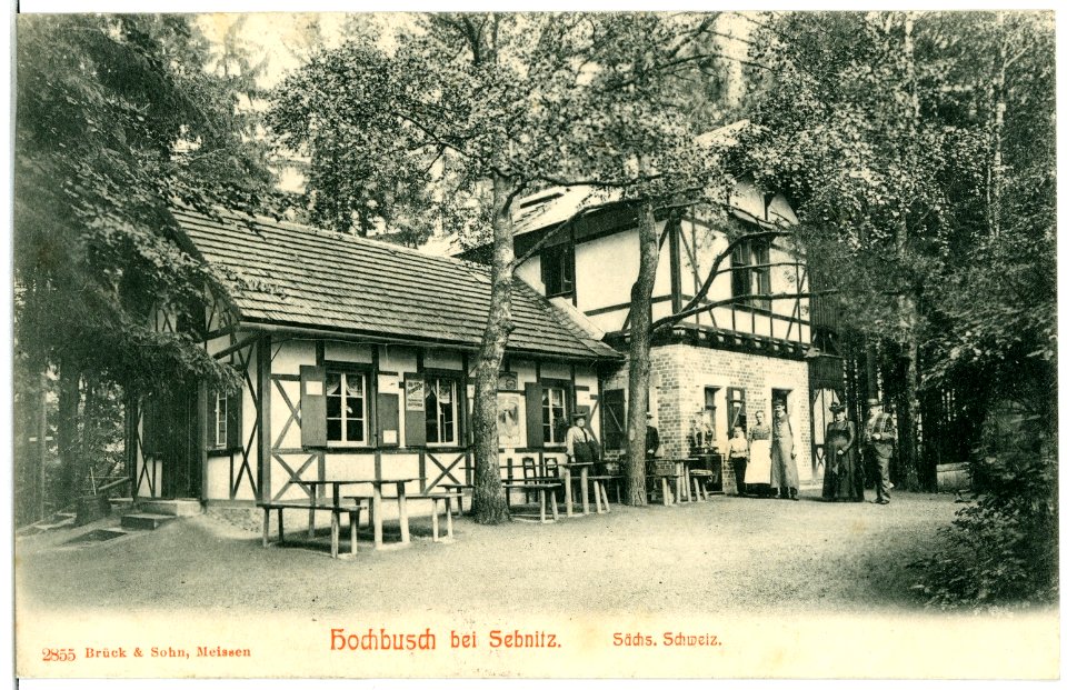 02855-Sebnitz-1903-Hochbusch bei Sebnitz-Brück & Sohn Kunstverlag
