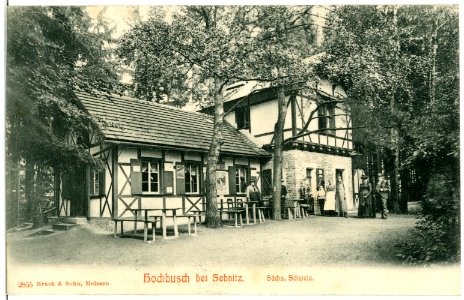 02855-Sebnitz-1903-Hochbusch bei Sebnitz-Brück & Sohn Kunstverlag