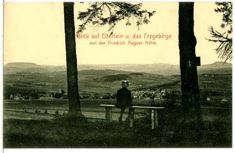 11219-Elterlein-1910-Blick auf Elterlein von der Friedrich-August-Höhe-Brück & Sohn Kunstverlag