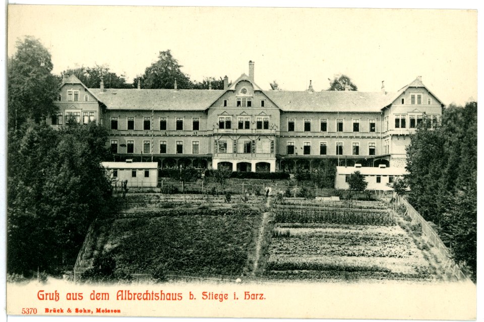 05370-Stiege-Harz-1904-Albrechtshaus-Brück & Sohn Kunstverlag