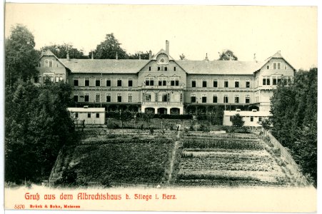05370-Stiege-Harz-1904-Albrechtshaus-Brück & Sohn Kunstverlag