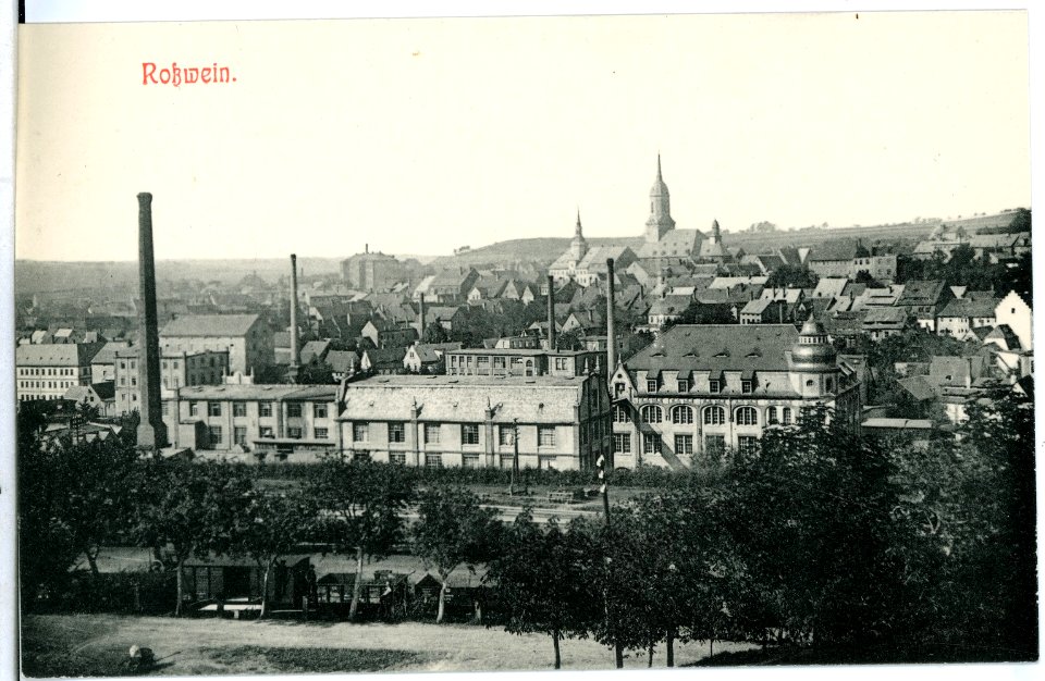 11678-Roßwein-1910-Blick auf Roßwein-Brück & Sohn Kunstverlag