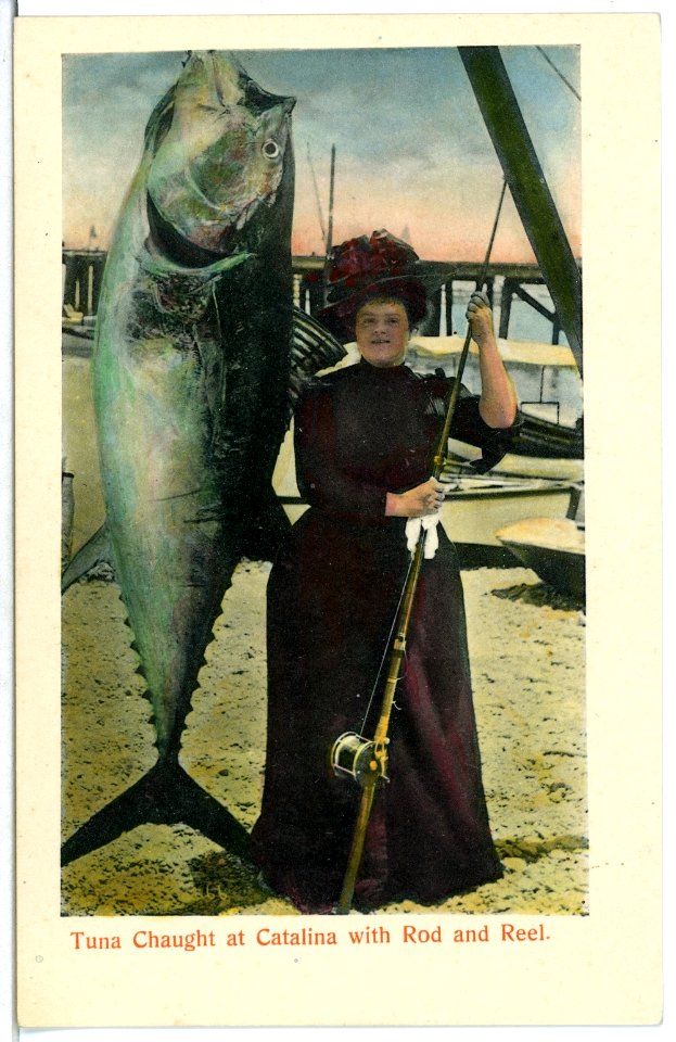 04945-Catalina-1903-Tuna chaught at Catalina with Rod and Reel-Brück & Sohn Kunstverlag