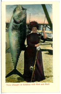 04945-Catalina-1903-Tuna chaught at Catalina with Rod and Reel-Brück & Sohn Kunstverlag