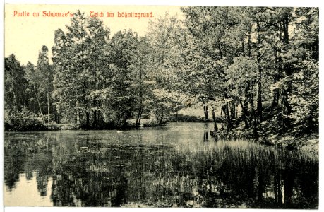 11977-Radebeul-1910-Lößnitzgrund - Schwarzes Teich-Brück & Sohn Kunstverlag