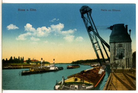 11982-Riesa-1910-Elbe mit Schleppzug-Brück & Sohn Kunstverlag
