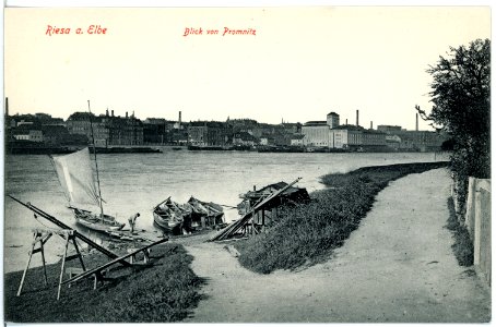 18848-Riesa-1915-Blick von Promnitz-Brück & Sohn Kunstverlag