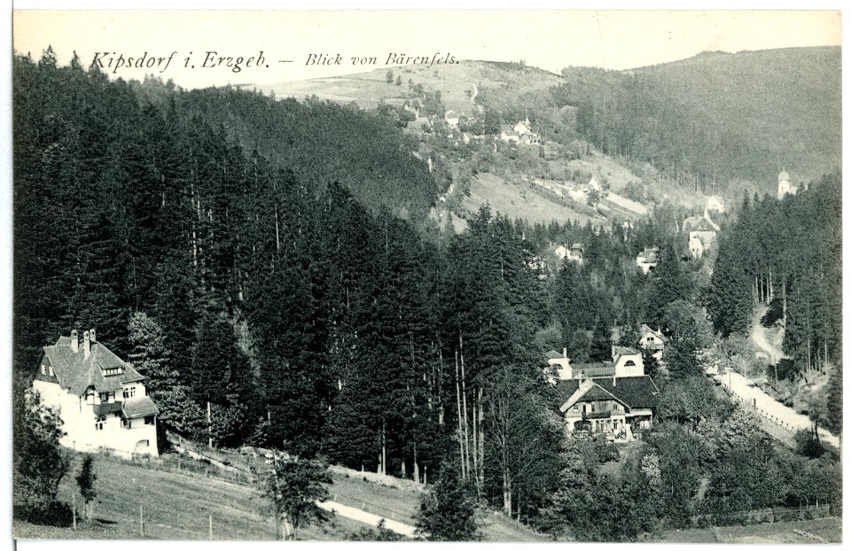 11720-Kipsdorf-1910-Blick auf Bärenfels von Kipsdorf-Brück & Sohn Kunstverlag
