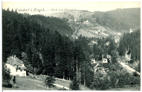 11720-Kipsdorf-1910-Blick auf Bärenfels von Kipsdorf-Brück & Sohn Kunstverlag