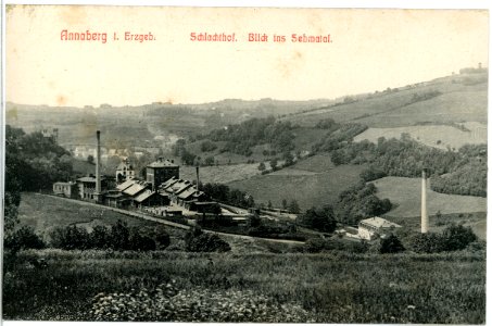 11691-Annaberg-1910-Schlachthof - Blick ins Sehmatal-Brück & Sohn Kunstverlag