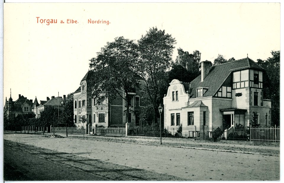 11596-Torgau-1910-Nordring-Brück & Sohn Kunstverlag