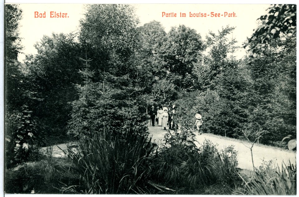 11654-Bad Elster-1910-Im Louisa-See- Park-Brück & Sohn Kunstverlag