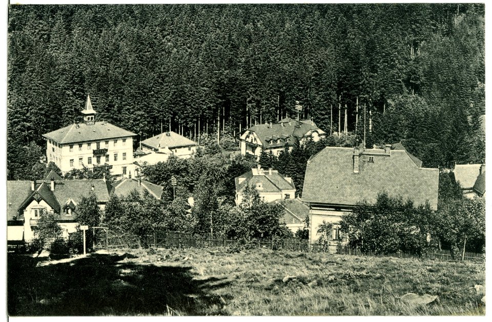 11453-Kipsdorf-1910-Blick auf Kipsdorf-Brück & Sohn Kunstverlag