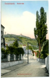 11511-Radebeul-1910-Bachstraße-Brück & Sohn Kunstverlag
