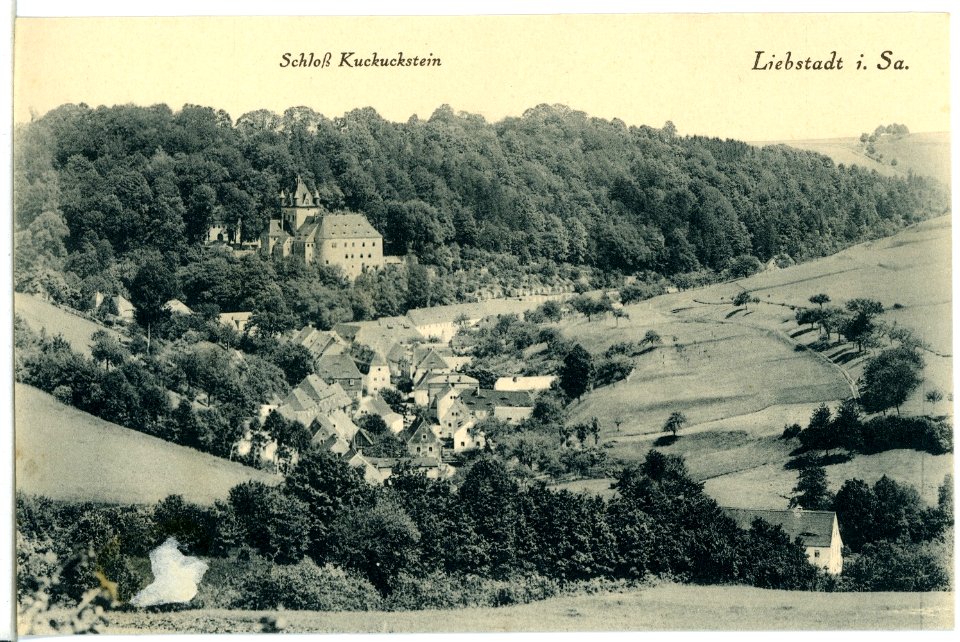 11514-Liebstadt-1910-Blick auf Liebstadt-Brück & Sohn Kunstverlag