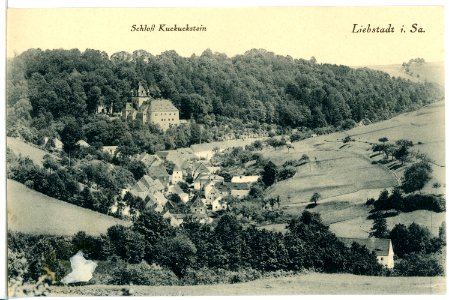 11514-Liebstadt-1910-Blick auf Liebstadt-Brück & Sohn Kunstverlag
