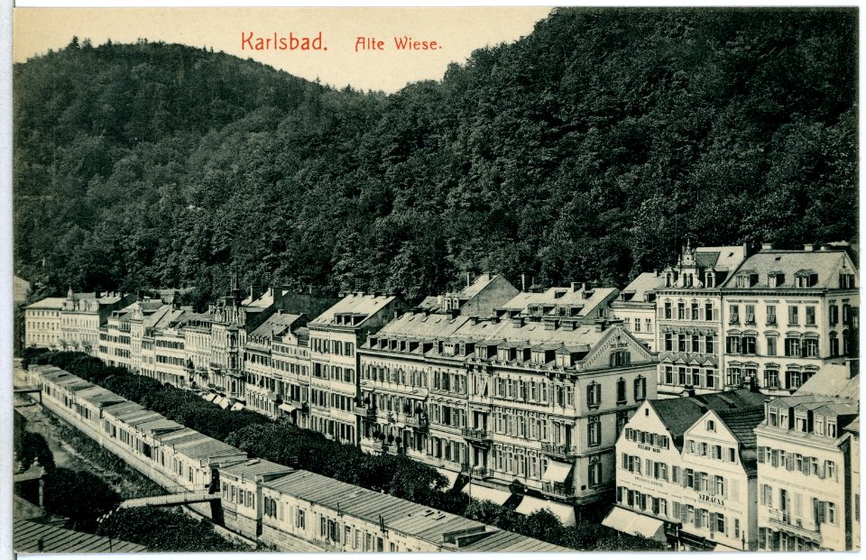 11705-Karlsbad-1910-Alte Wiese-Brück & Sohn Kunstverlag