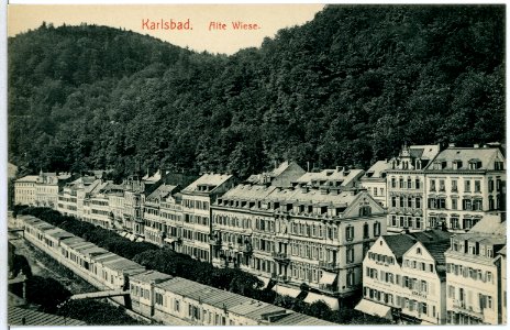 11705-Karlsbad-1910-Alte Wiese-Brück & Sohn Kunstverlag photo