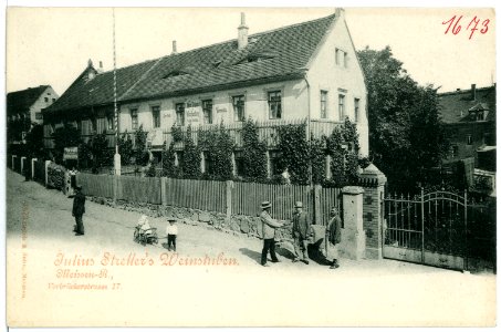 01673-Meißen-1901-Julius Strellers Weinstuben-Brück & Sohn Kunstverlag