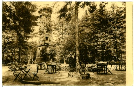 03003-Sebnitz-1903-Prinz Georg Turm auf dem Ungerberg-Brück & Sohn Kunstverlag