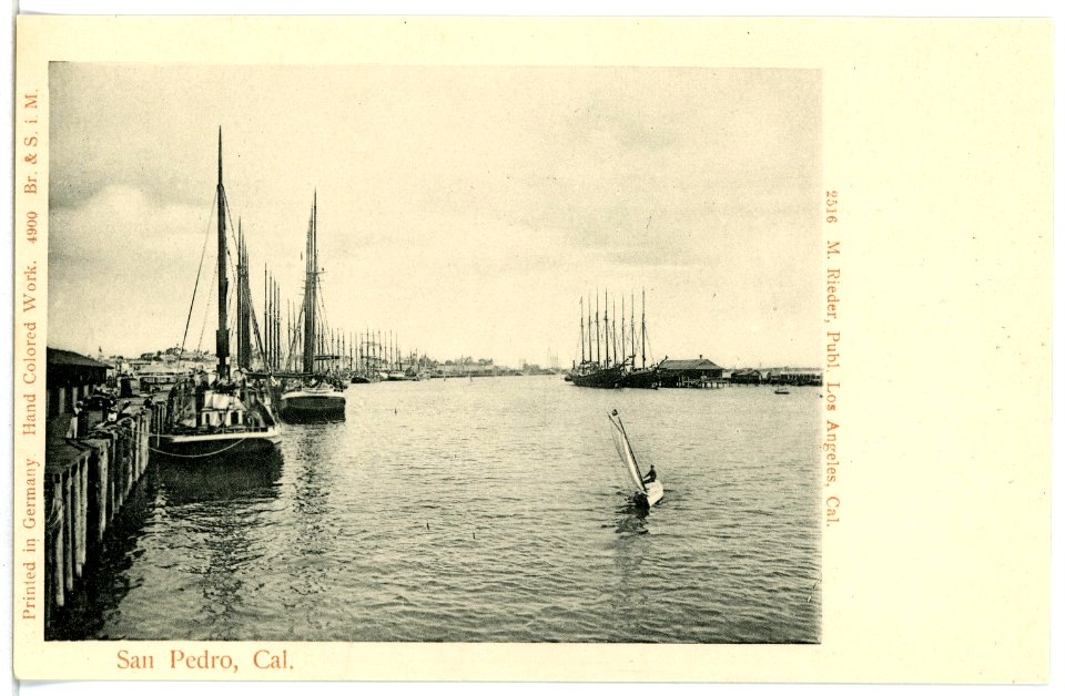 04900-San Pedro-1903-San Pedro - Hafen mit Segelschiffen-Brück & Sohn Kunstverlag