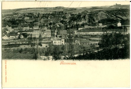 01203-Roßwein-1899-Blick auf Roßwein-Brück & Sohn Kunstverlag