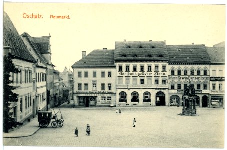 16695-Oschatz-1913-Neumarkt und Hotel goldener Stern-Brück & Sohn Kunstverlag