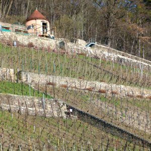 Weinberghaus Pillnitz 8