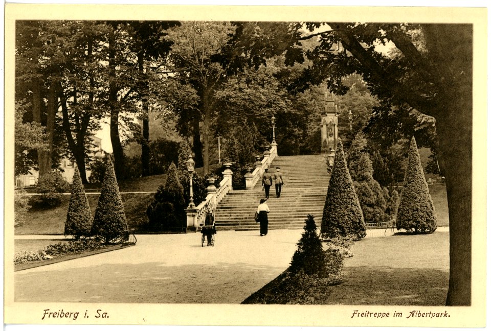 18057-Freiberg-1914-Albertpark-Brück & Sohn Kunstverlag