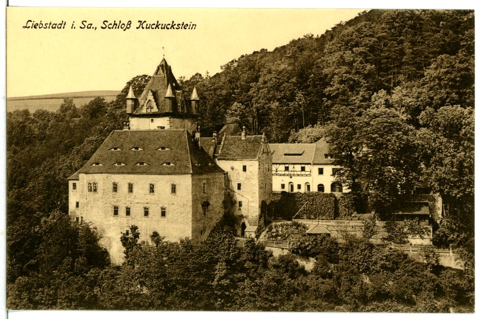 11518-Liebstadt-1910-Schloß Kuckuckstein-Brück & Sohn Kunstverlag