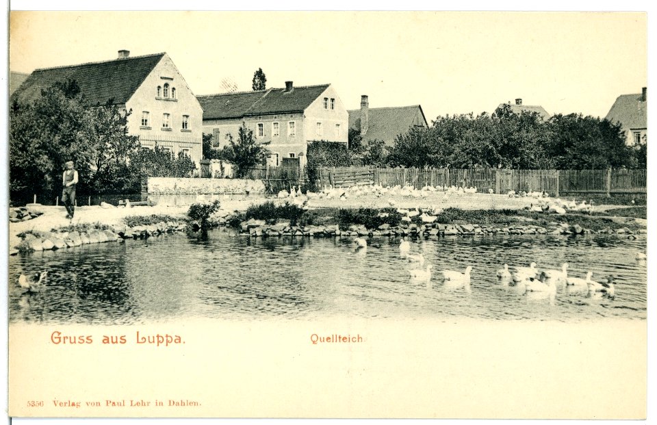 05356-Luppa-1904-Quellteich mit Schwänen-Brück & Sohn Kunstverlag