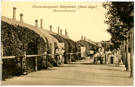 18967-Königsbrück-1915-Truppenübungsplatz Mannschaftsbaracke-Brück & Sohn Kunstverlag