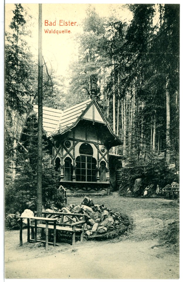 11719-Bad Elster-1910-Waldquelle-Brück & Sohn Kunstverlag