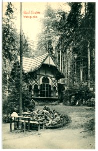 11719-Bad Elster-1910-Waldquelle-Brück & Sohn Kunstverlag