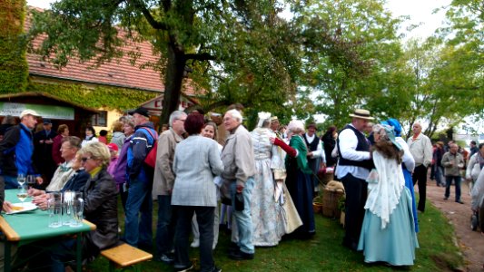 Weinfest Hoflößnitz 2012 Radebeul 3